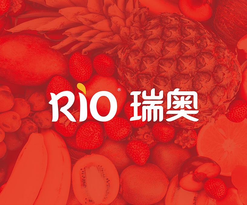 品牌形象VI设计 '瑞奥进出口贸易
