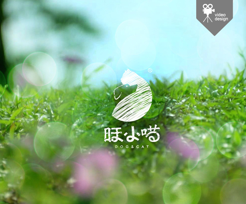 品牌形象. 媒体视频设计 ' < 旺小喵 宠物护理中心（连锁机构） >